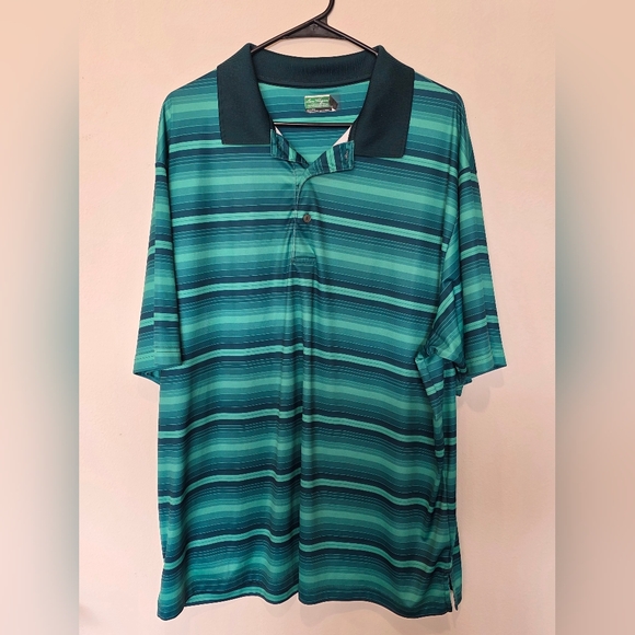 Hogan Other - Ben Hogan Performance Teal and Green Striped Polo Shirt